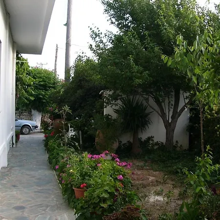 Oasis Παλαιοχώρα