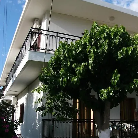Oasis *